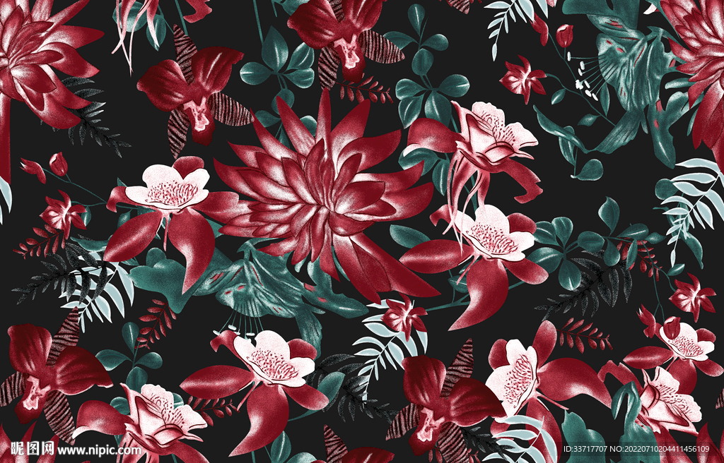 热带 花