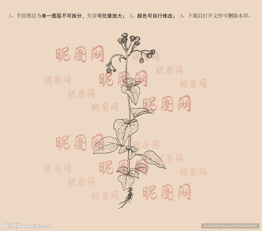胜红蓟