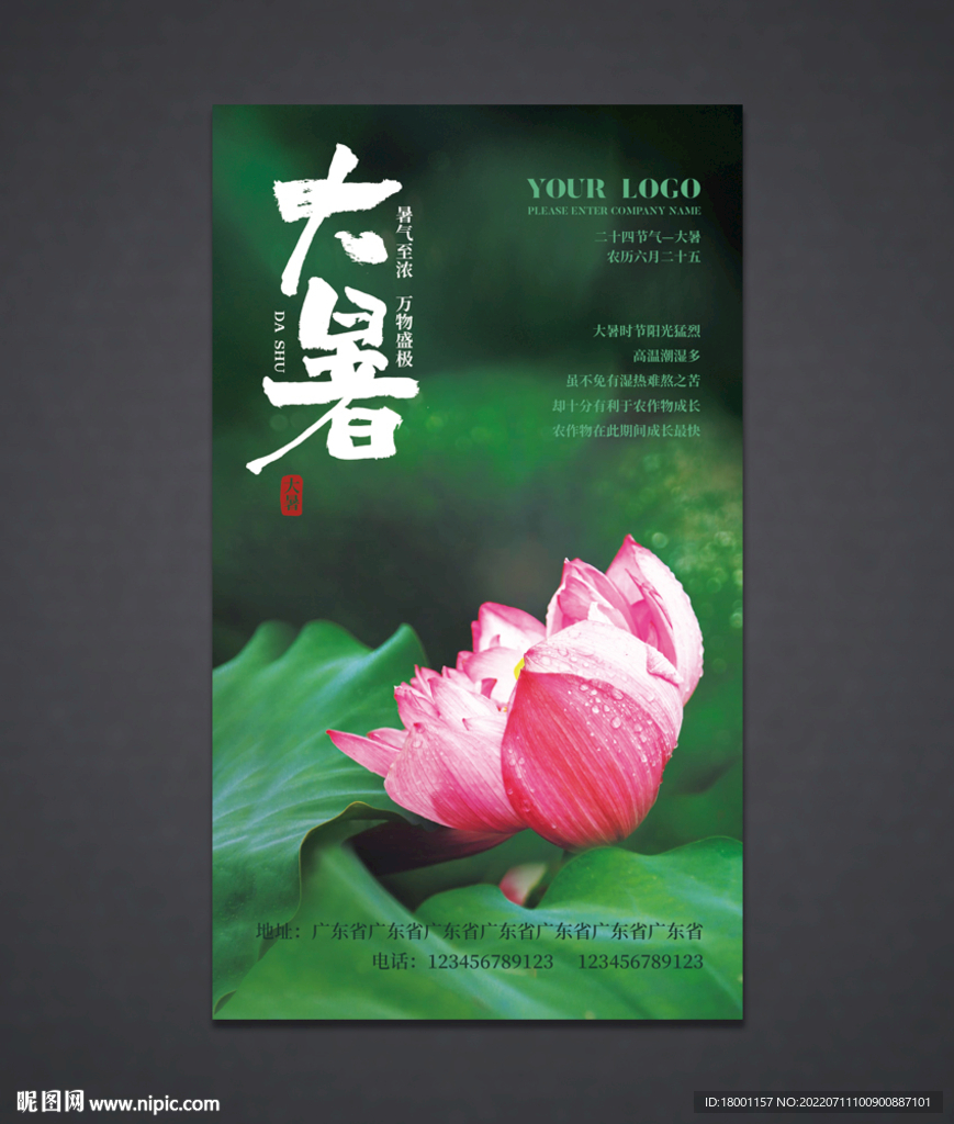 大暑海报