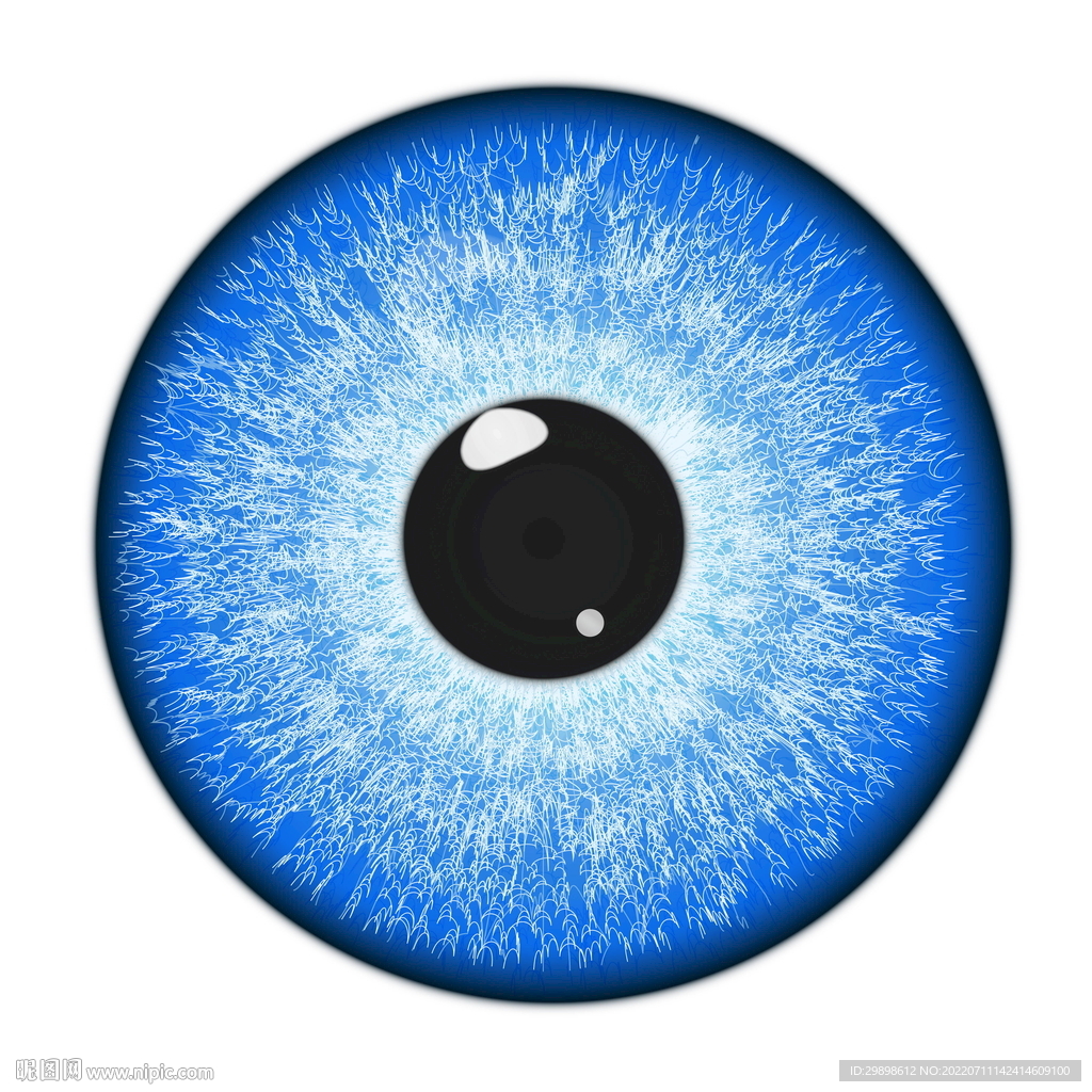 蓝色眼睛眼球眼珠子瞳孔晶体矢量