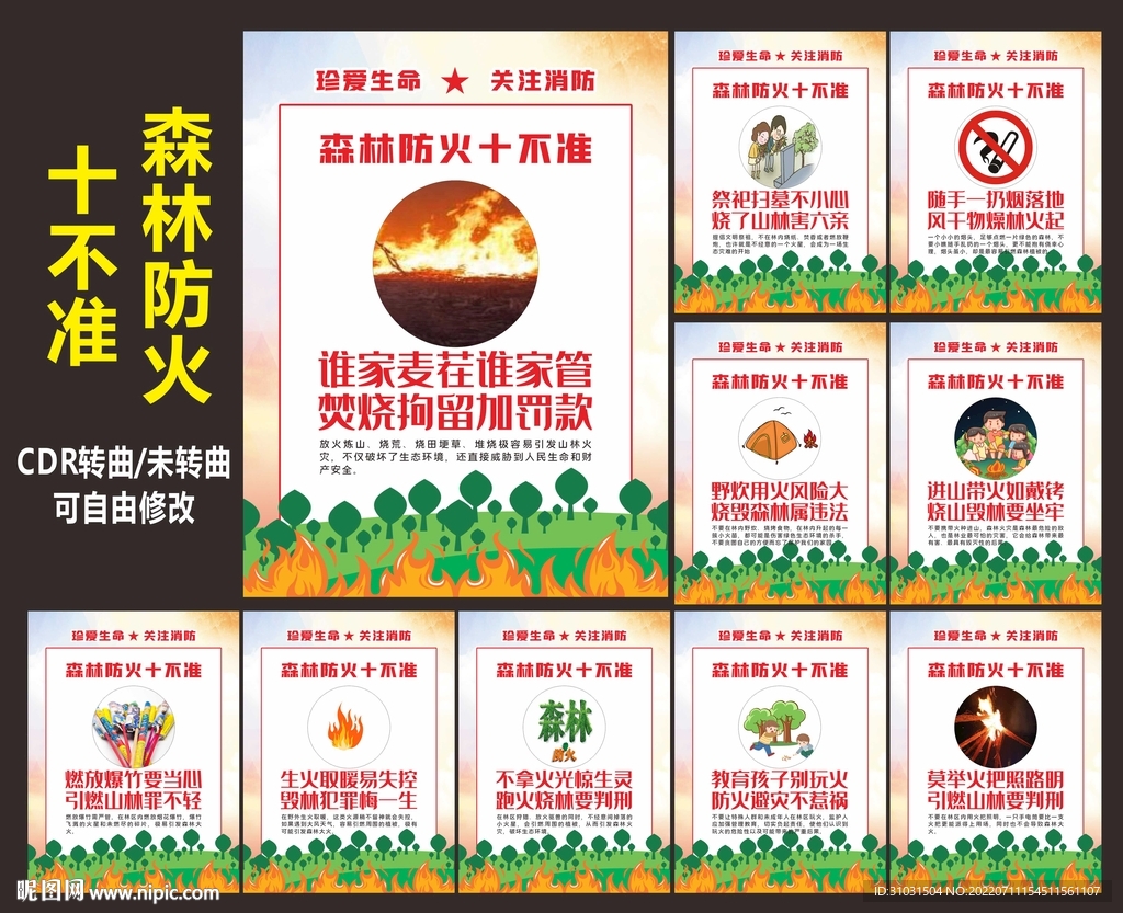森林防火十不准