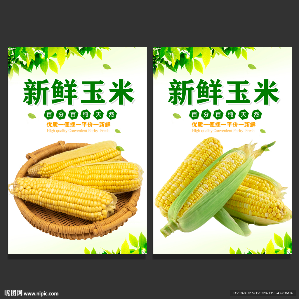 玉米