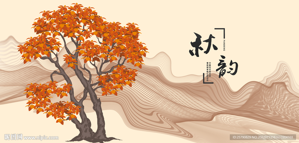 枫树