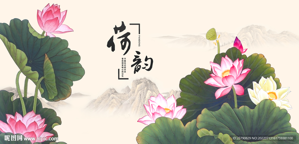 荷花