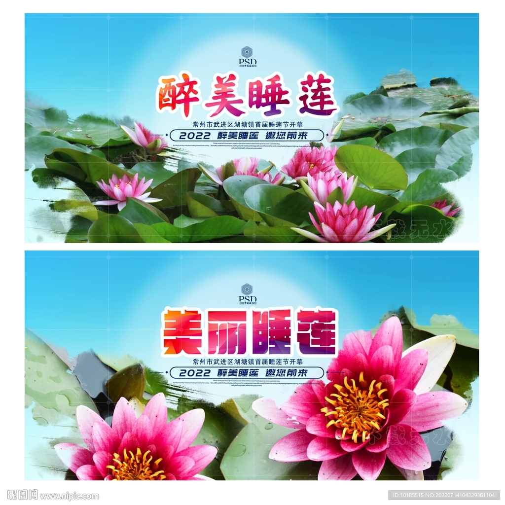 睡莲