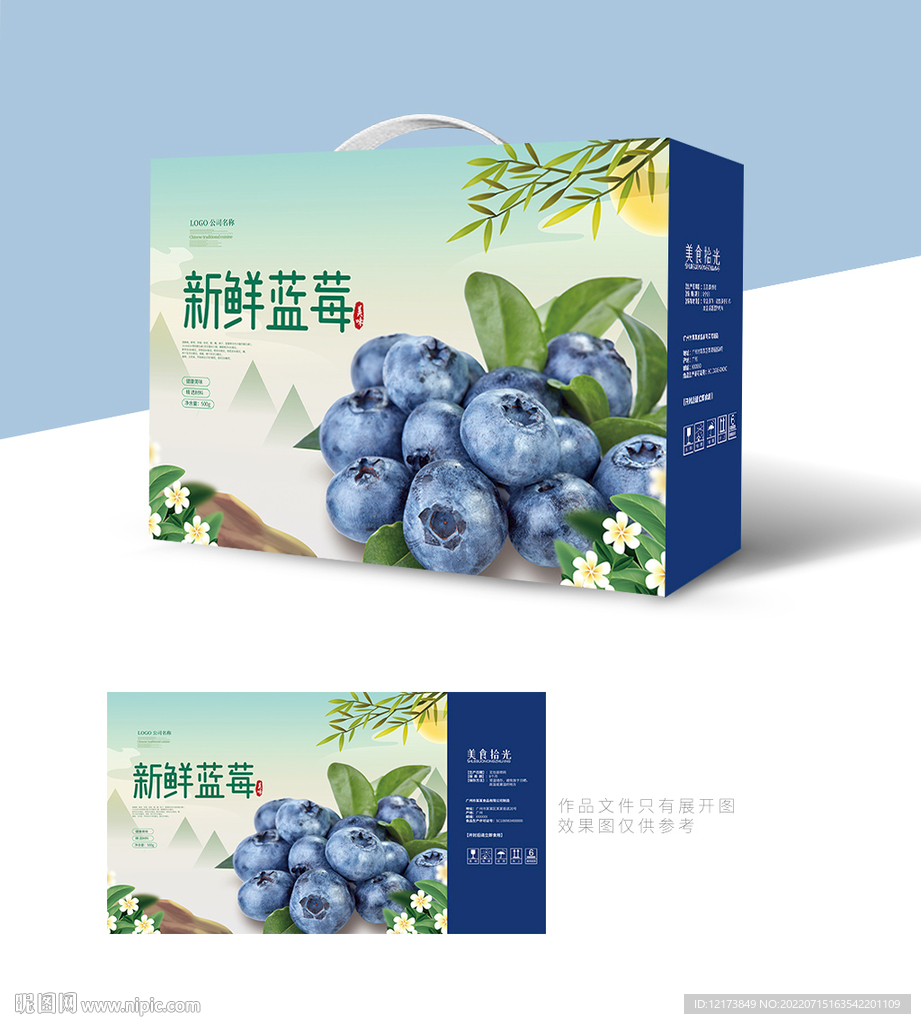 蓝莓包装