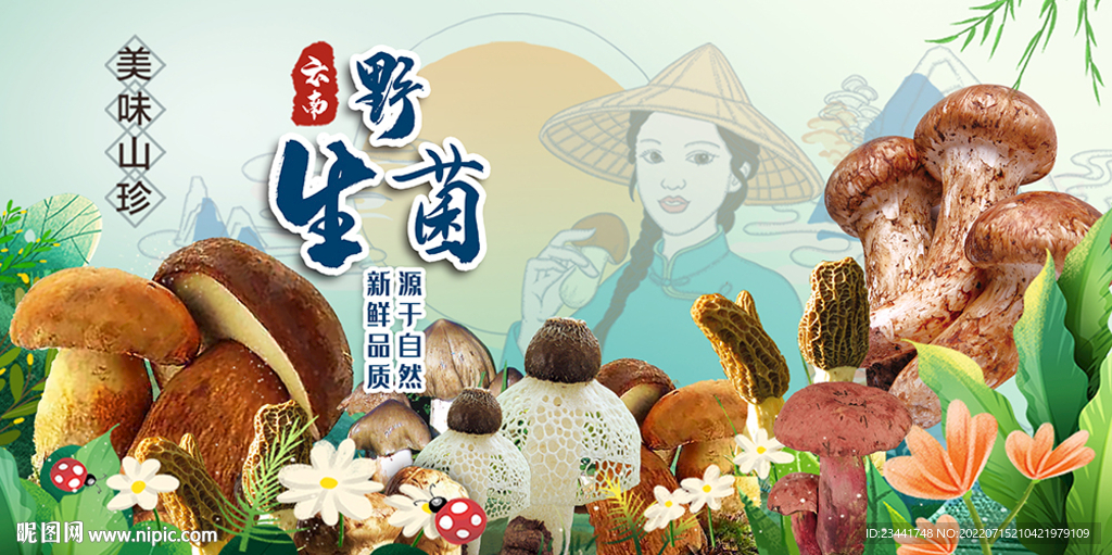 野生菌