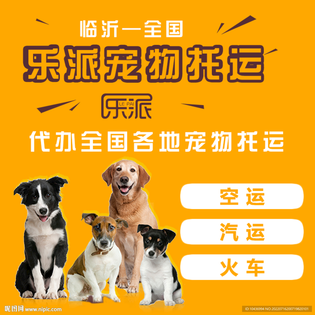宠物店托运主图