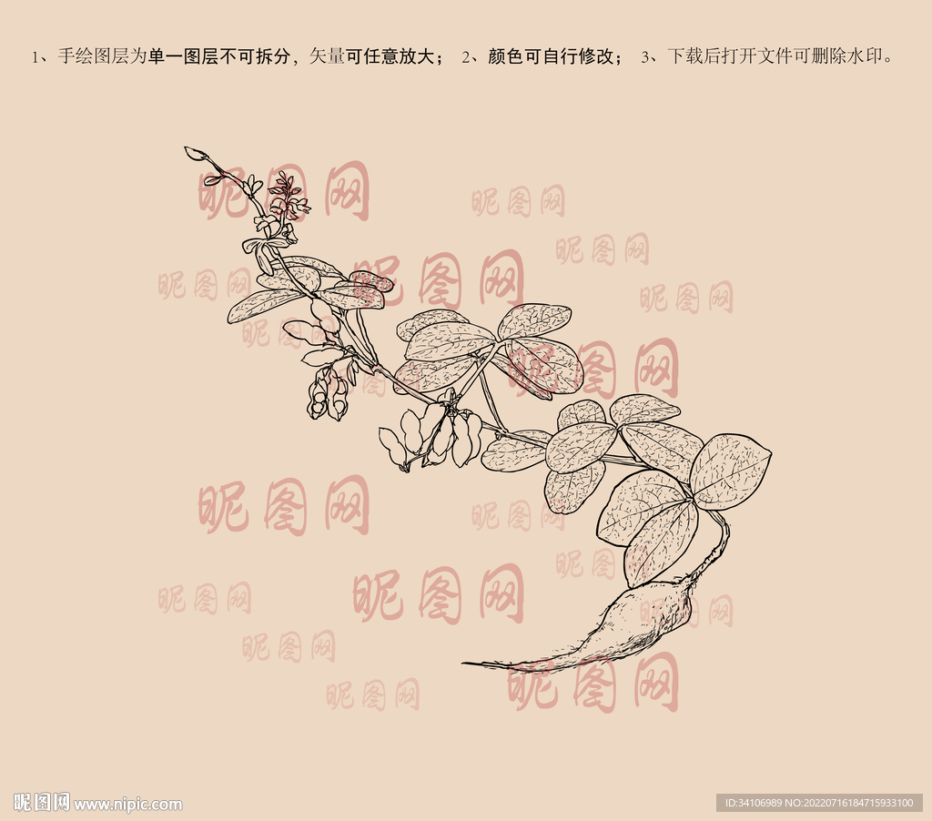 鹿藿