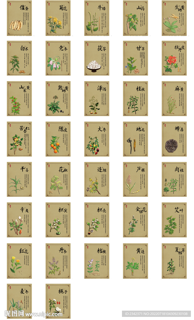 中药简介