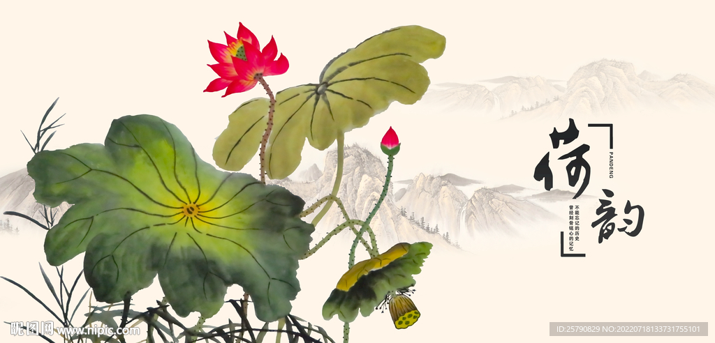 荷花