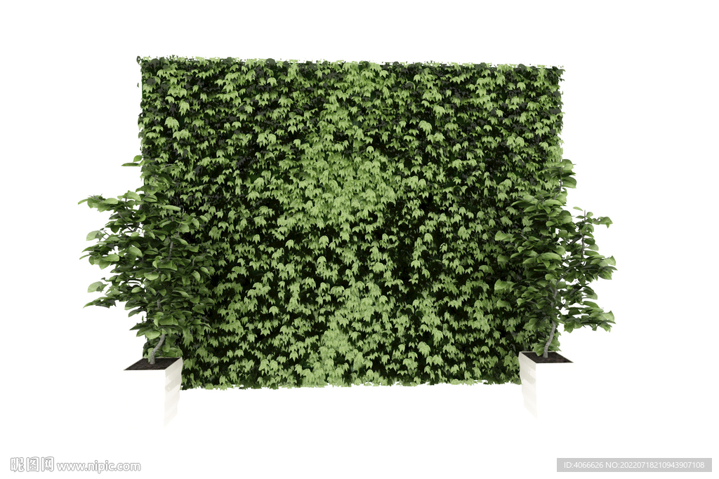 植物藤蔓墙3d模型