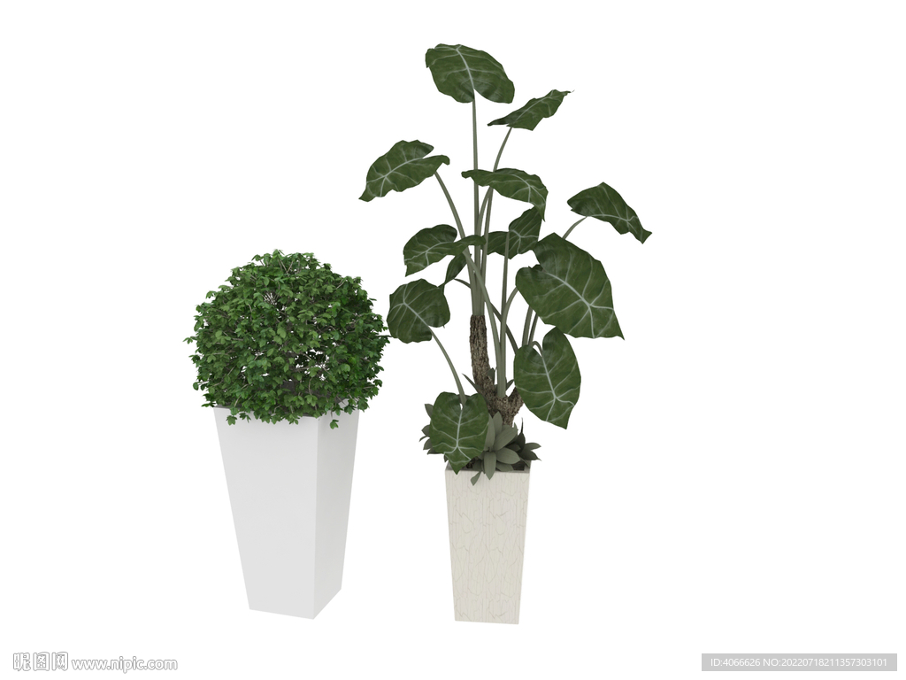 植物盆栽3d模型