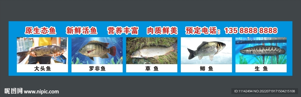 鱼水产海报