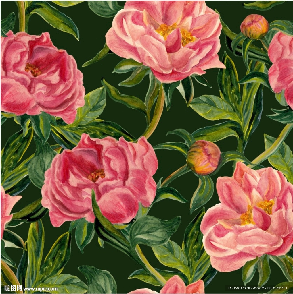 手绘 花卉