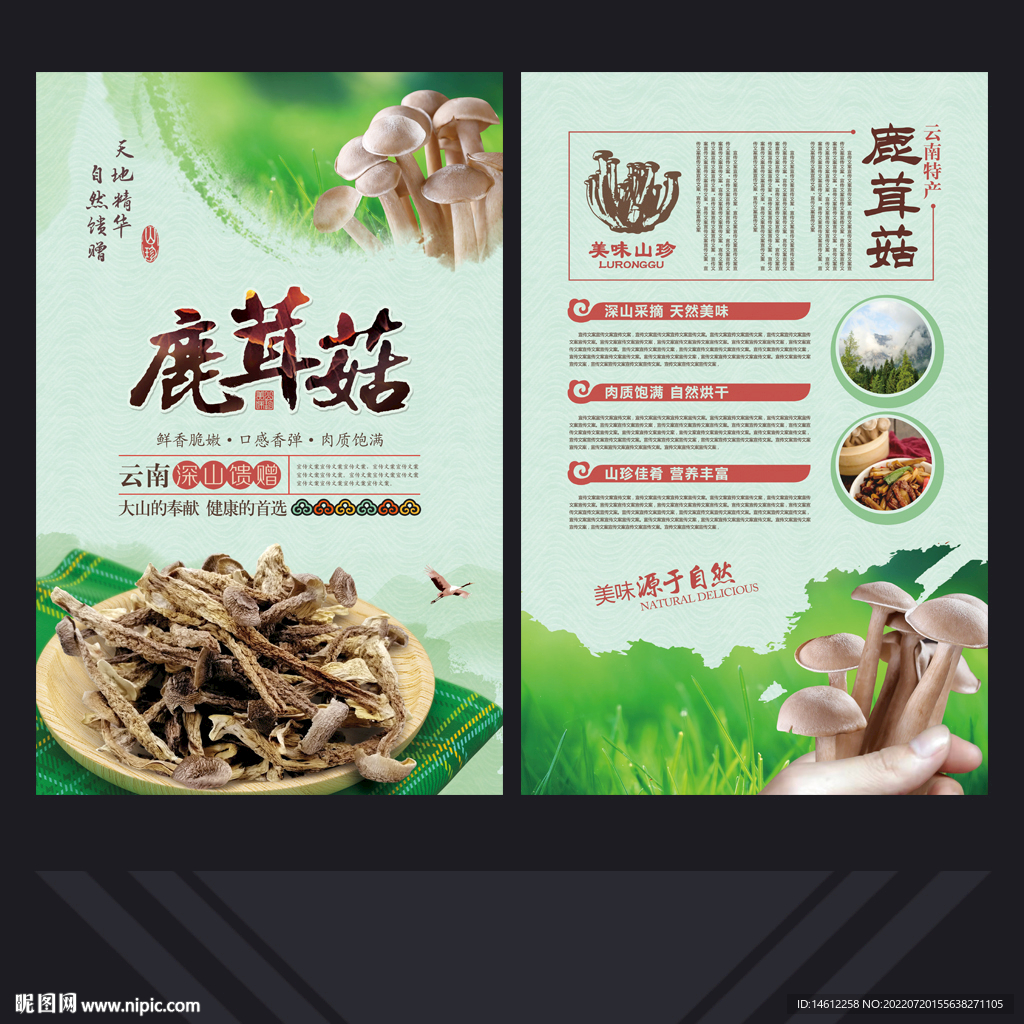 鹿茸菇