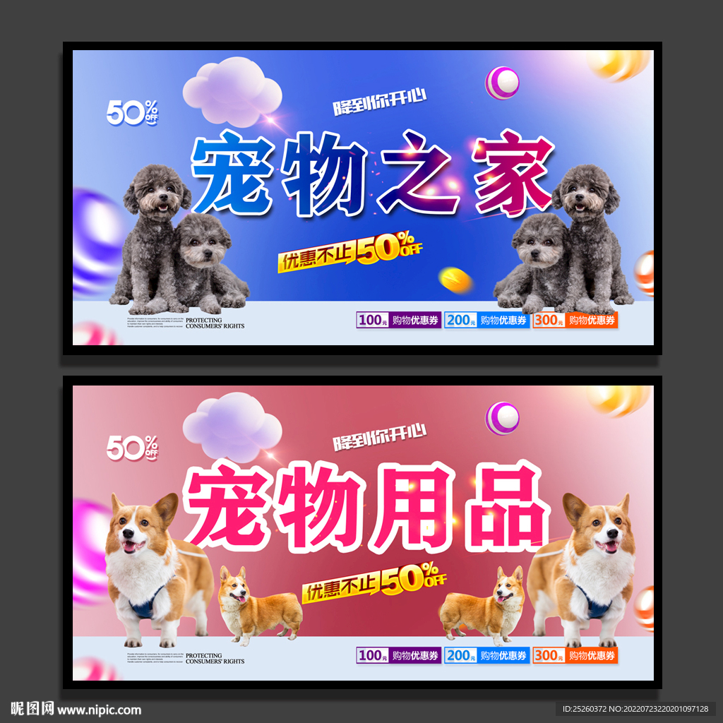 宠物
