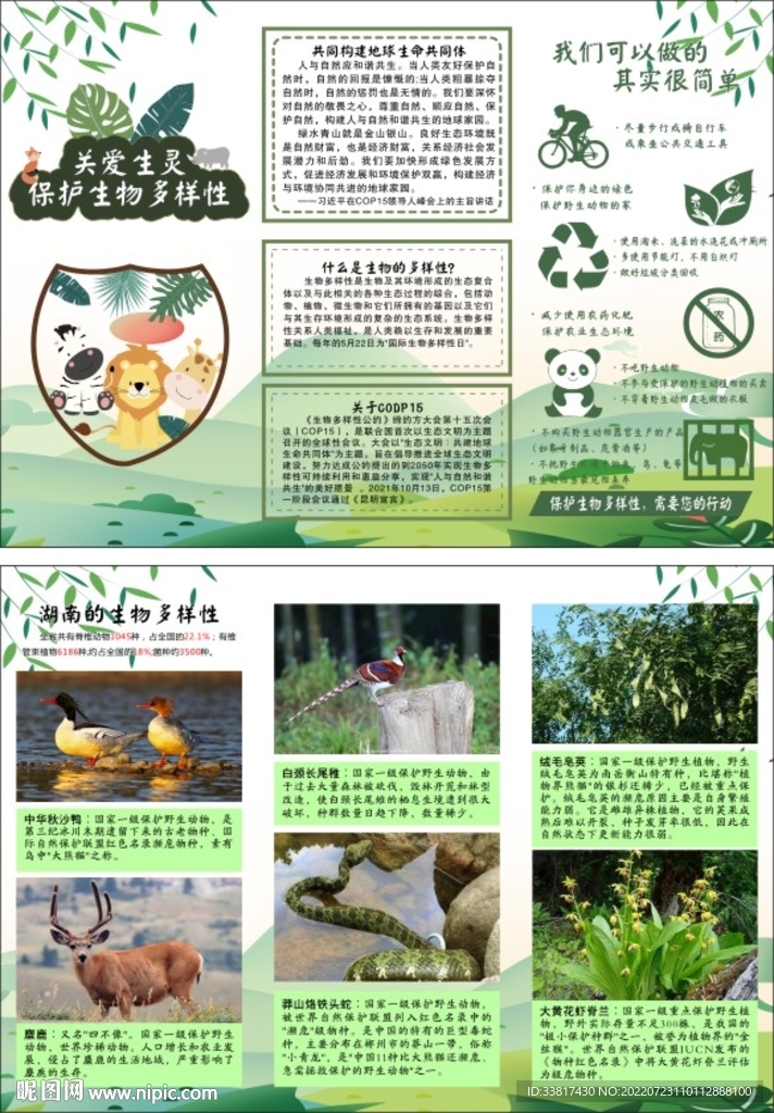 保护动物多样性