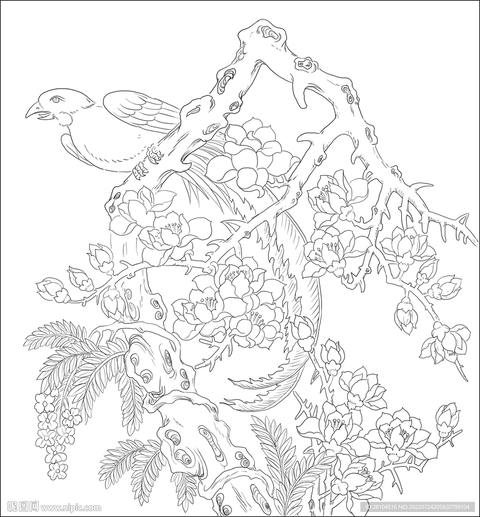 花鸟