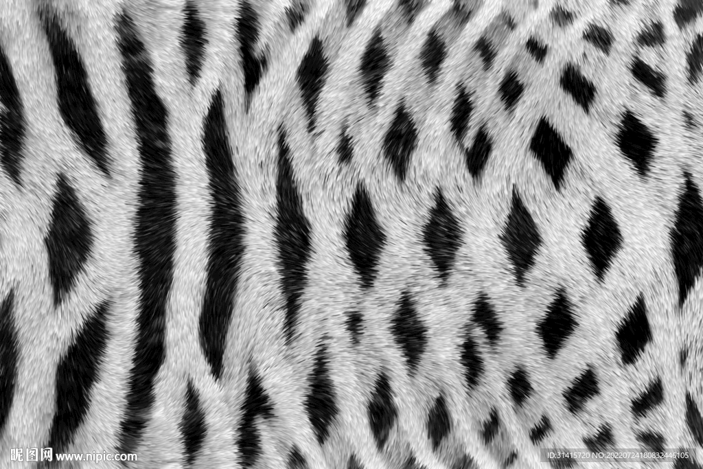 黑白几何皮毛纹理
