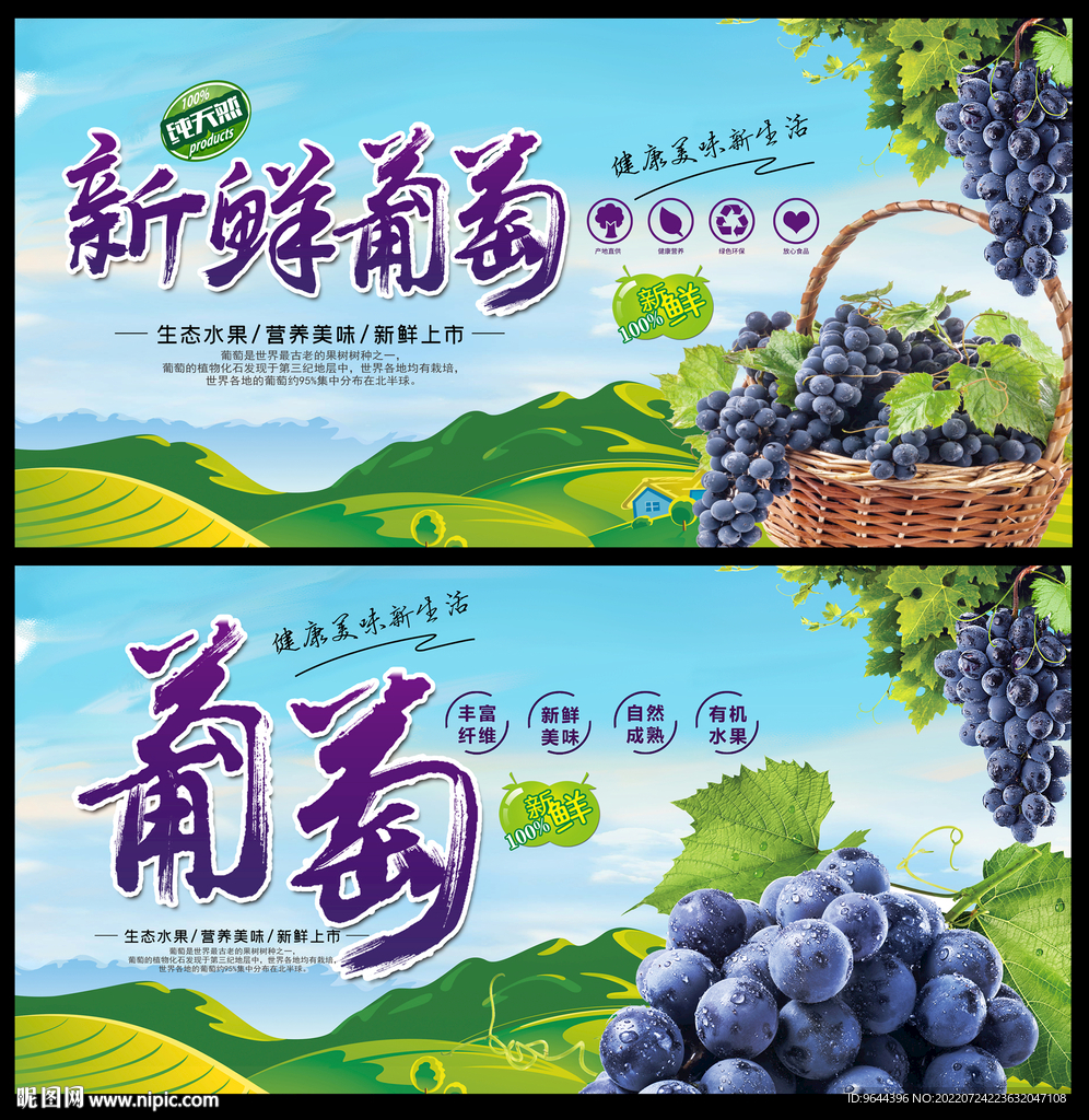 葡萄展板