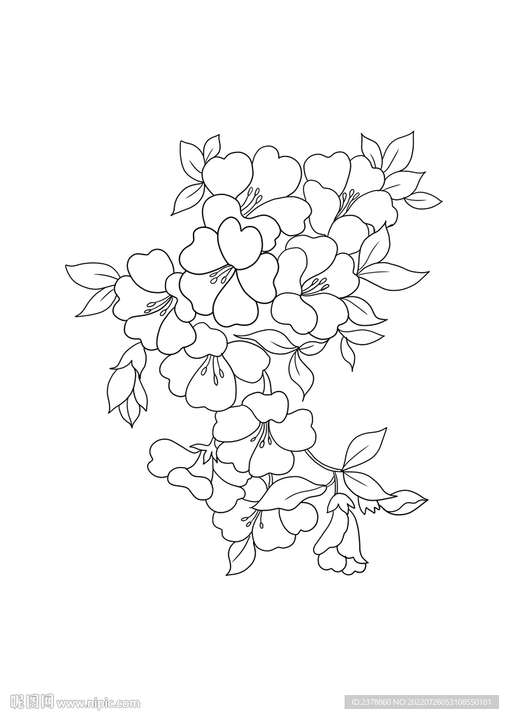黑白花卉图案设计