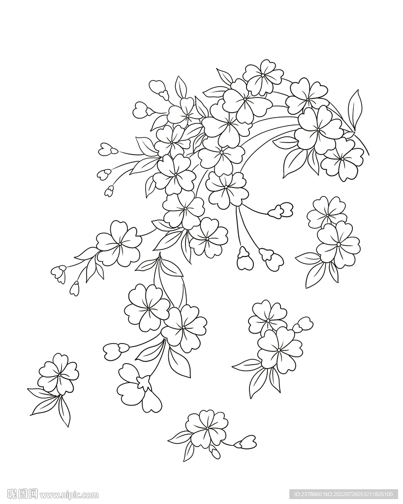 黑白花卉设计