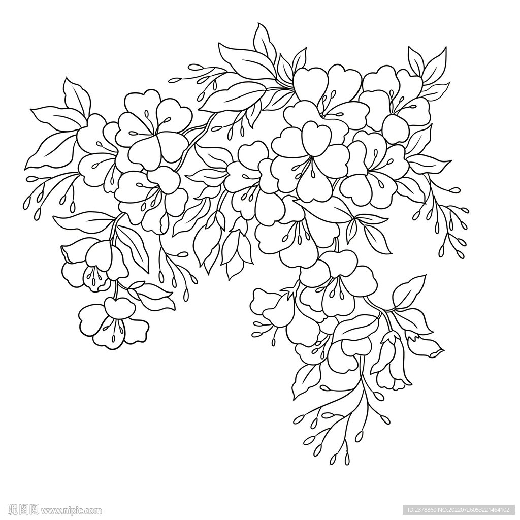黑白花卉