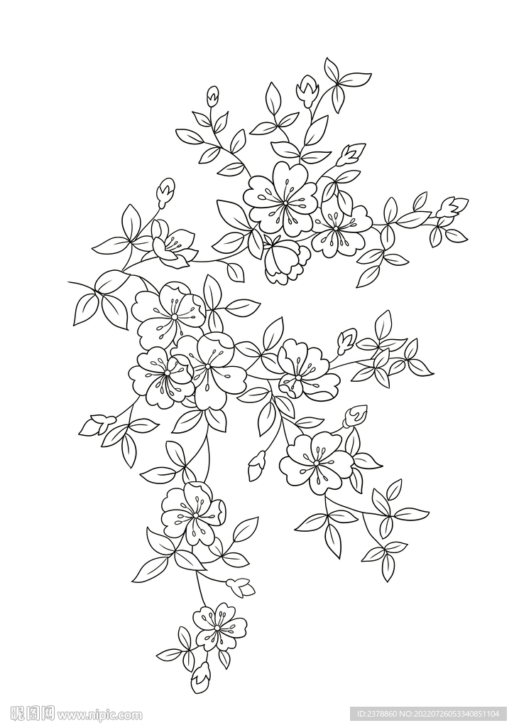 黑白花卉图案设计
