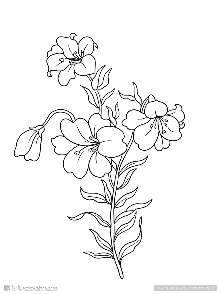 黑白花卉图案设计