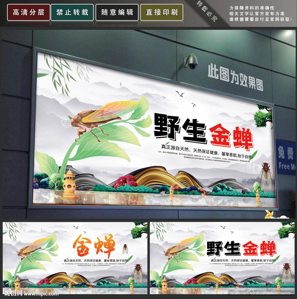 金蝉