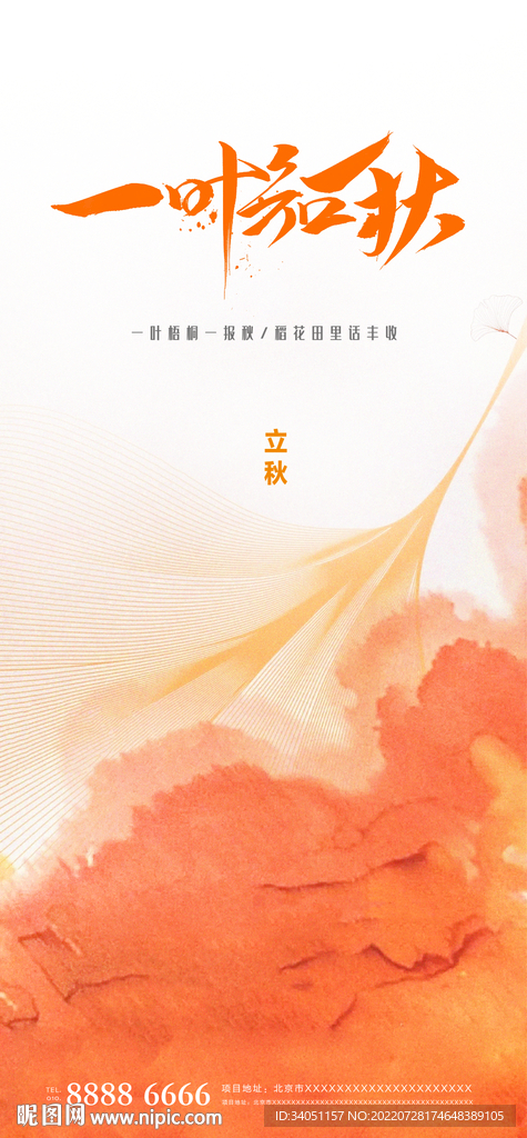 叶子立秋