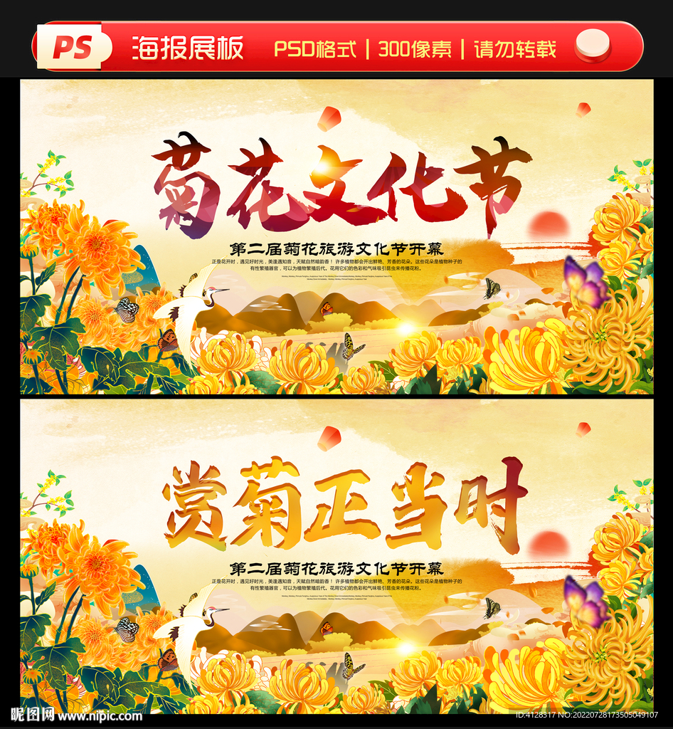 菊花展