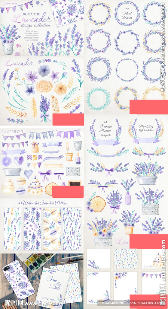 紫色薰衣草花卉水彩手绘