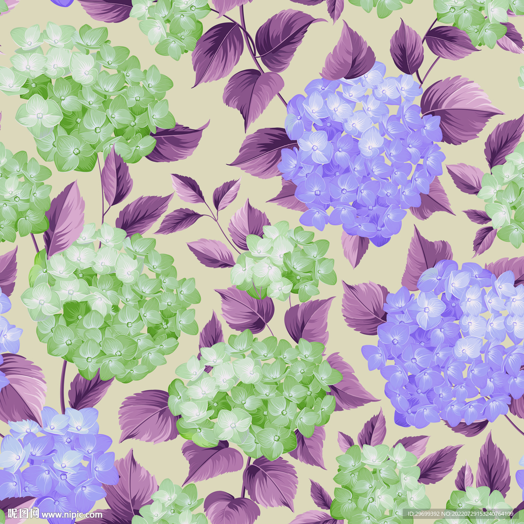 花卉花朵
