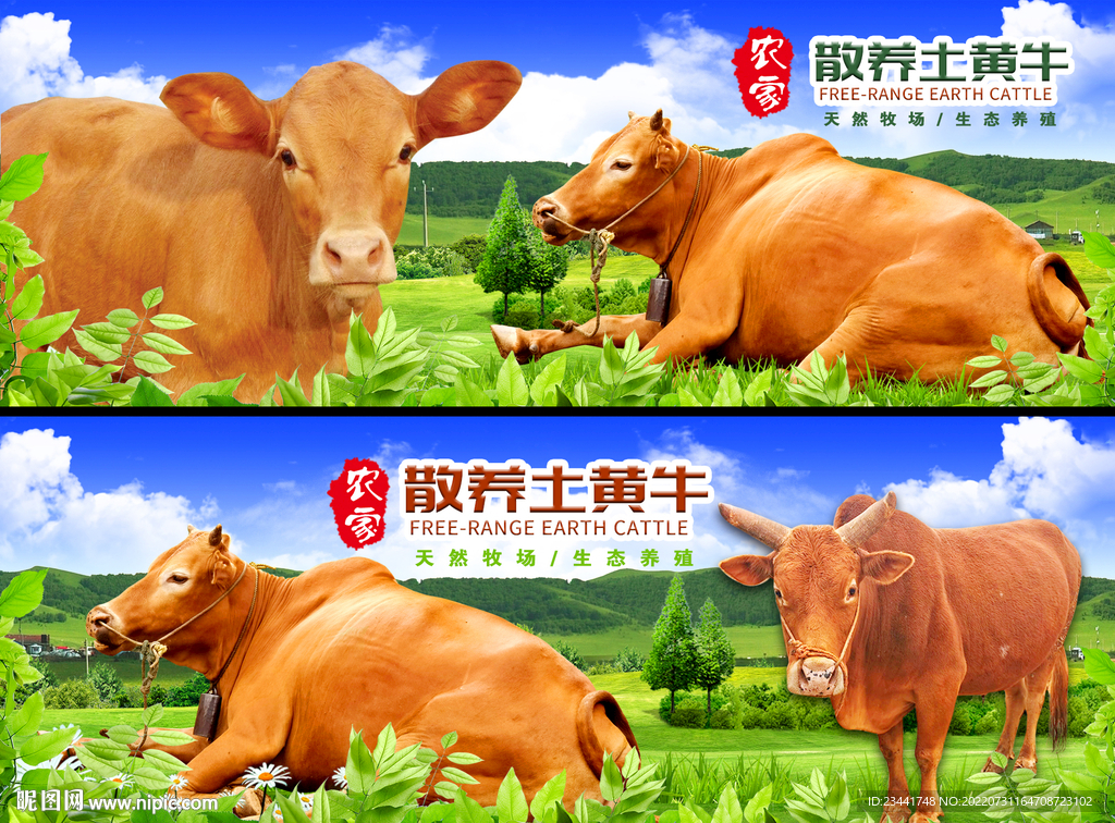 黄牛海报