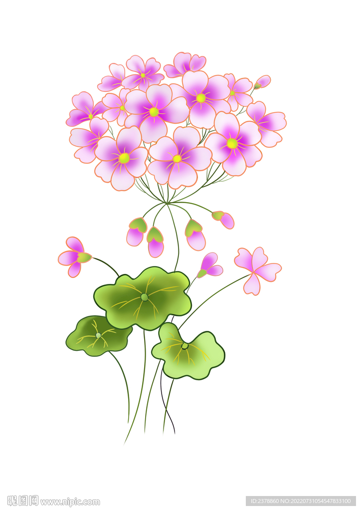 花卉设计图案