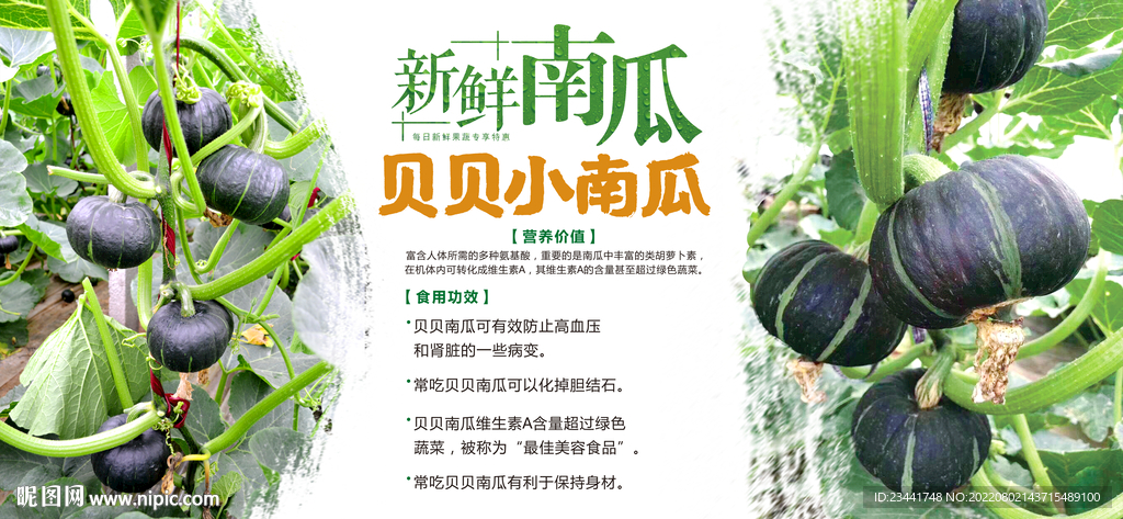 南瓜海报