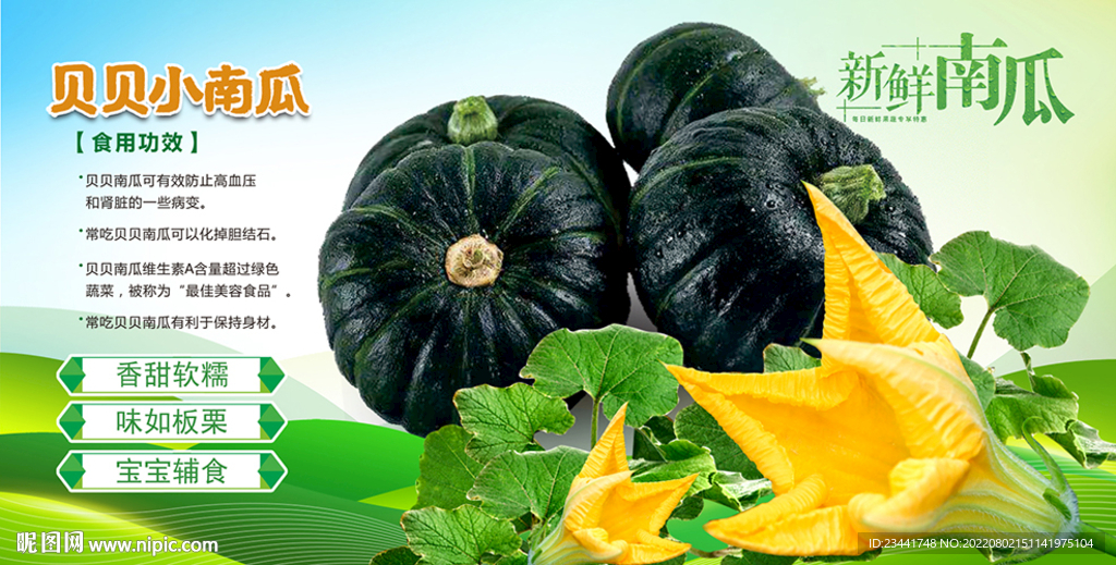 贝贝南瓜