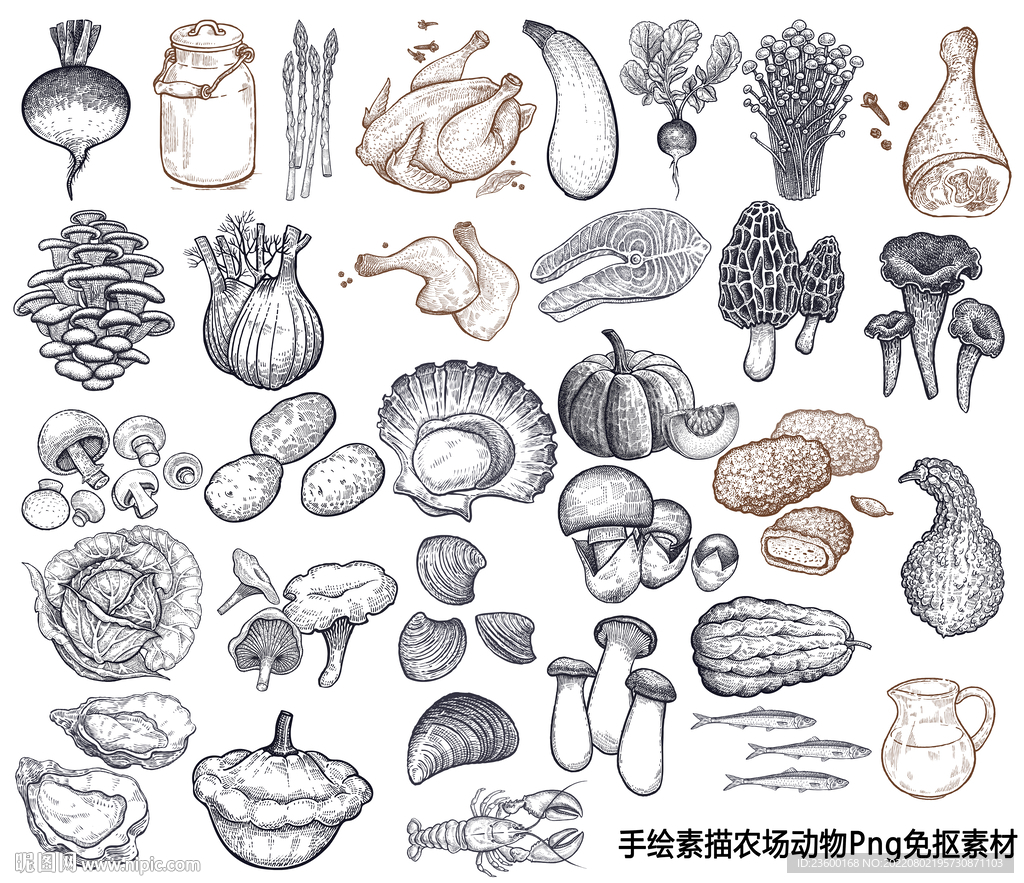 手绘素描蔬菜瓜果海鲜