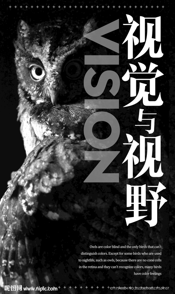 猫头鹰