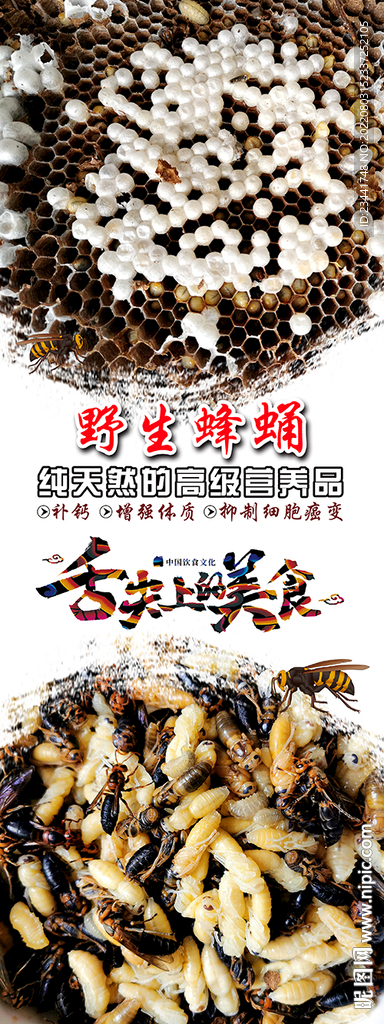 蜂蛹