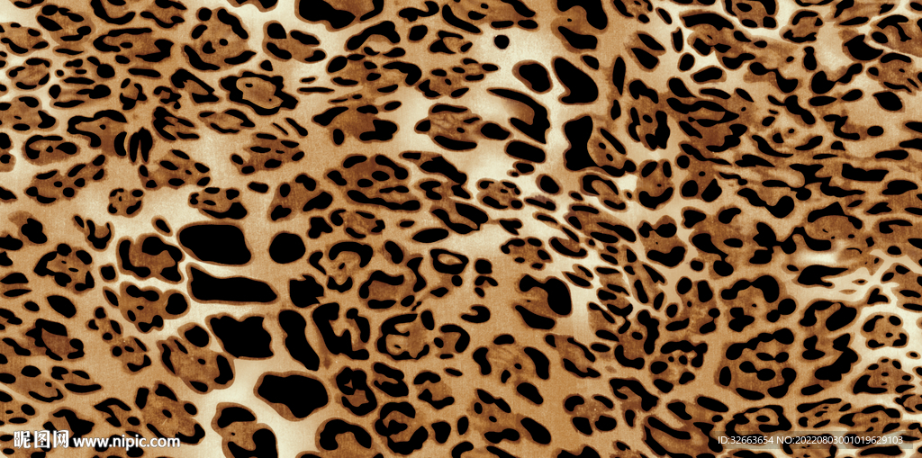 豹纹