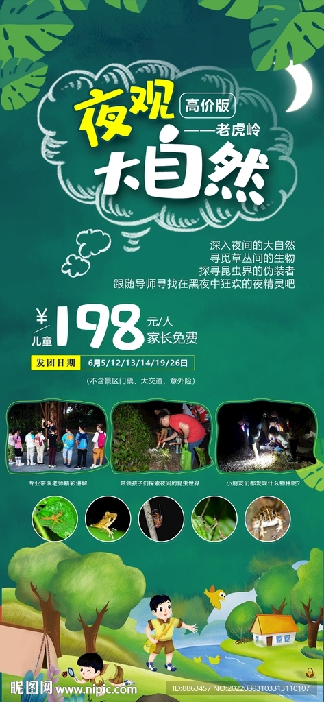 夜观大自然绿色森林海报