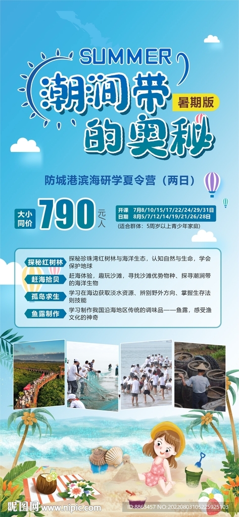 潮涧带的奥秘