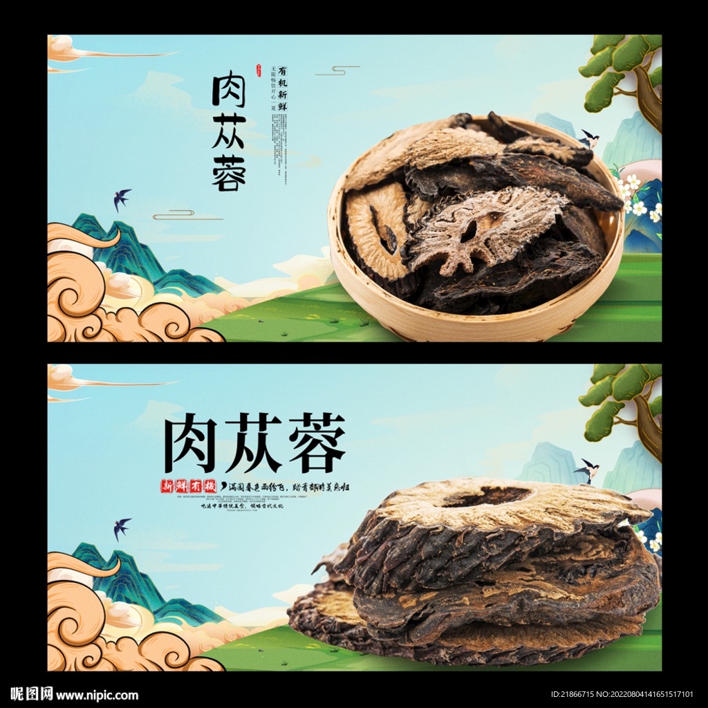 肉苁蓉
