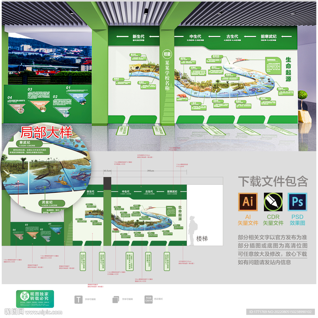 校园文化墙生物进化