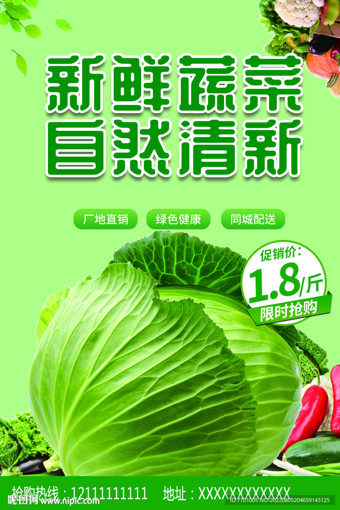 蔬菜 包菜 海报