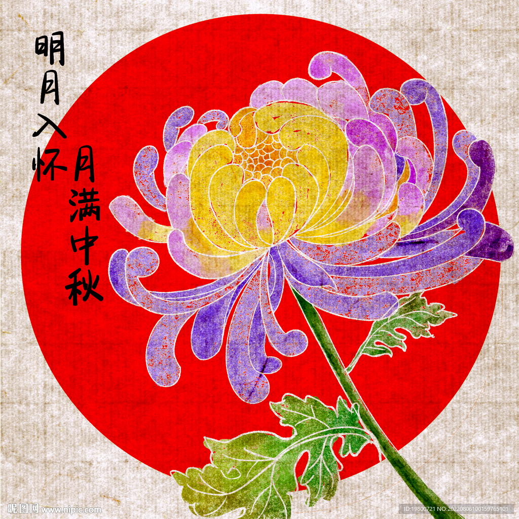 手绘水彩古风菊花中秋插画