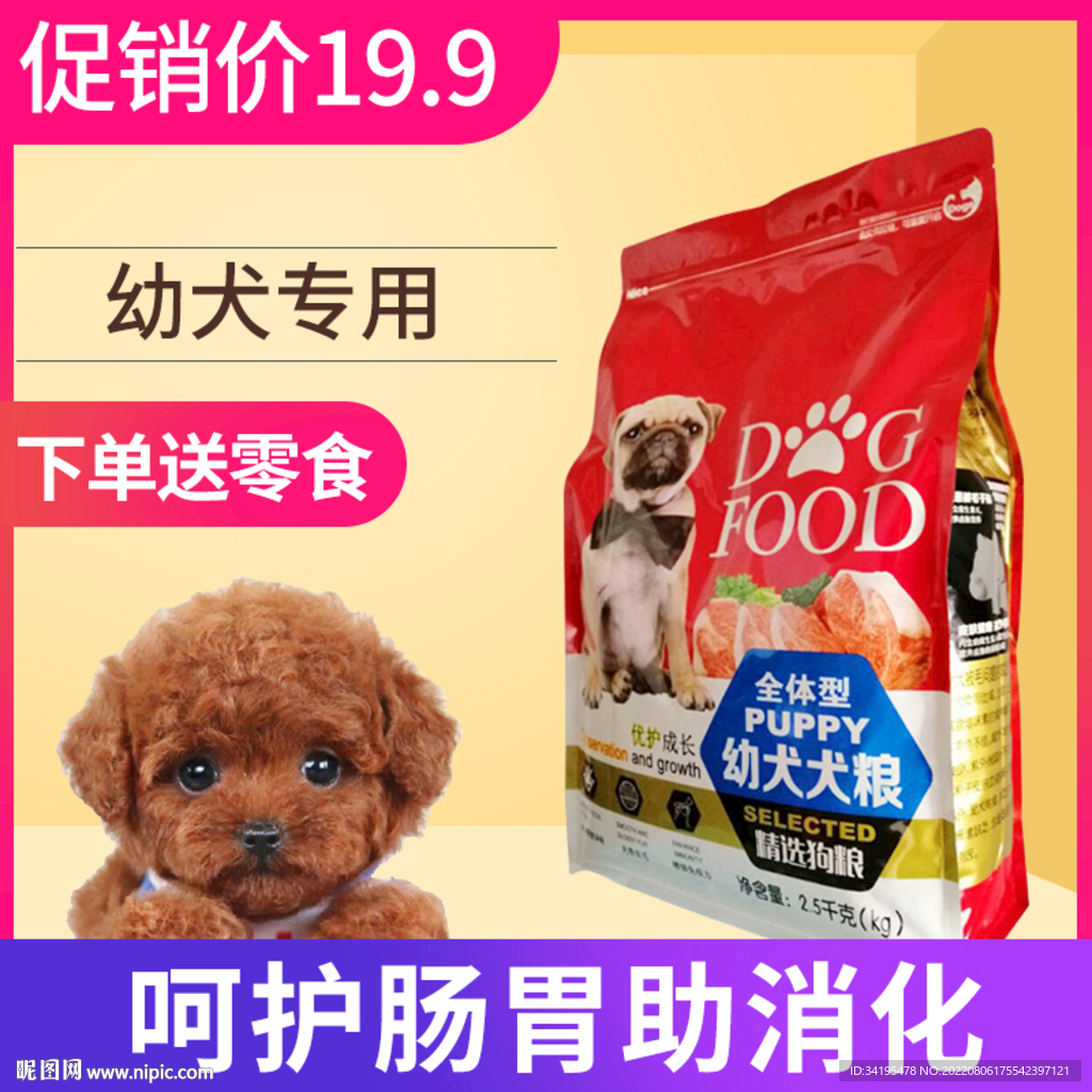 狗粮泰迪狗